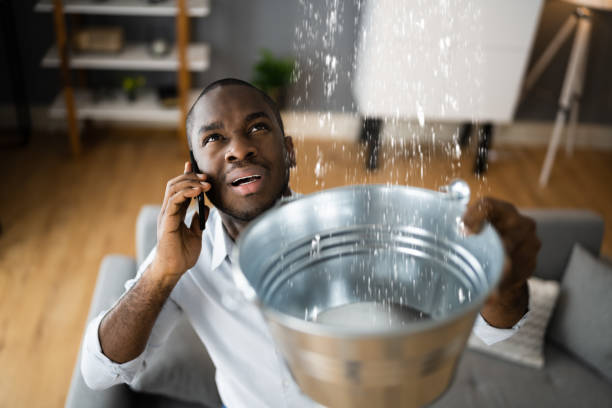 Best Flood restoration services  in Newell, WV