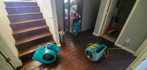 Best Commercial water damage restoration  in Newell, WV
