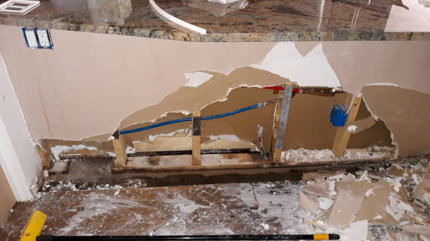 Best Water damage restoration near me  in Newell, WV