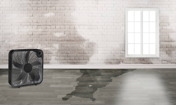 , WV Water damage restoration Company
