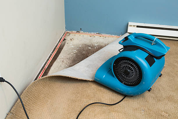 Best Sewage cleanup and water damage restoration  in Newell, WV